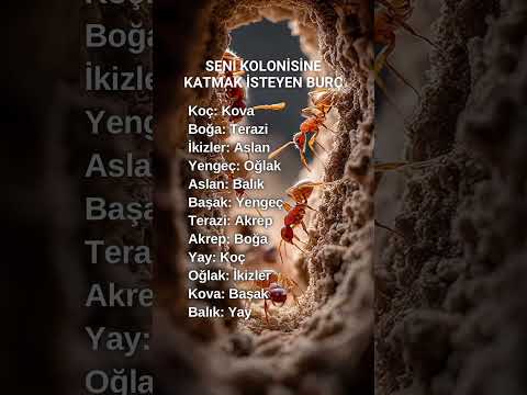 Seni kolonisine katmak isteyen burç #burç #burçlar #burçlaragöre