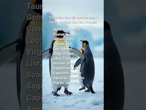 The Zodiac That Will Save You Even If You Go the Other Way Like a Penguin #zodiac #zodiacs